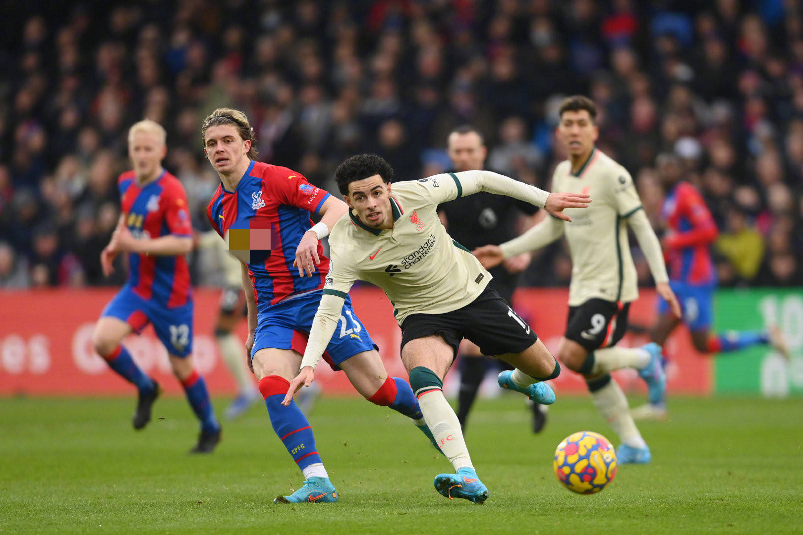 的独特印象 的独特印象